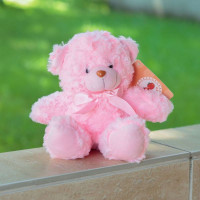 Мягкая игрушка Медведь DL104000243P